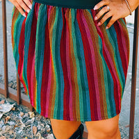 Dulce Stripe Zarape Full Skirt