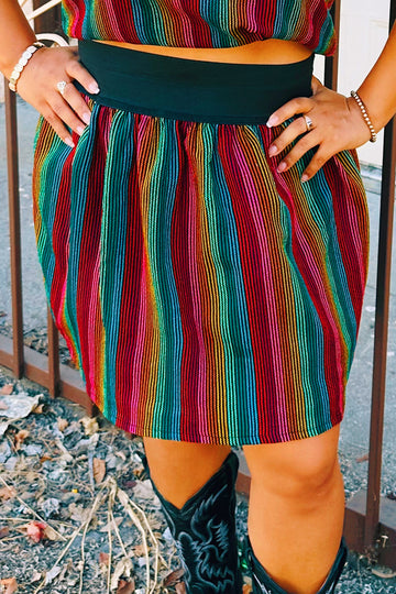 Dulce Stripe Zarape Full Skirt