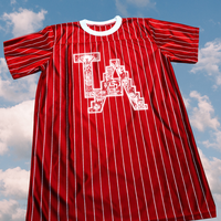 Team Aztlan Jersey Dress