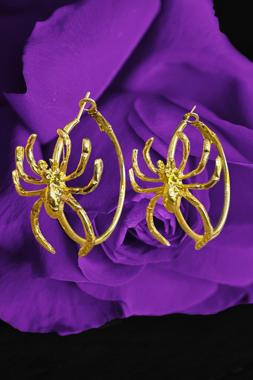 La Araña Hoops