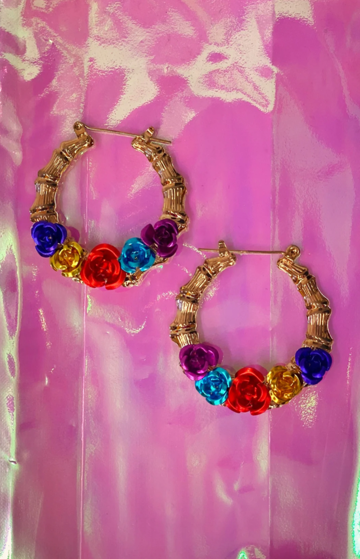 Mini Fiesta Rosa Hoops